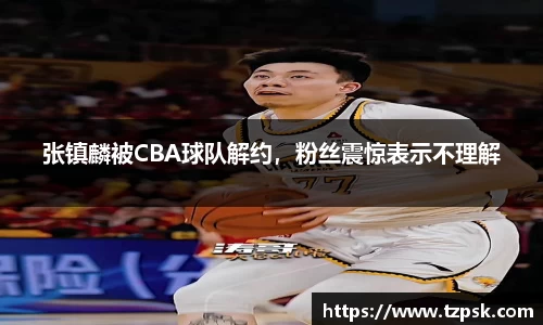 张镇麟被CBA球队解约，粉丝震惊表示不理解