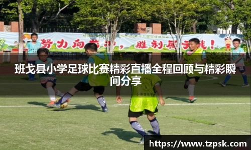 ky开元网址